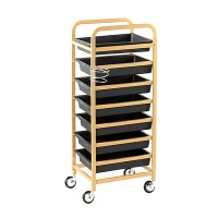 Modern All-Purpose Rolling Storage Cart